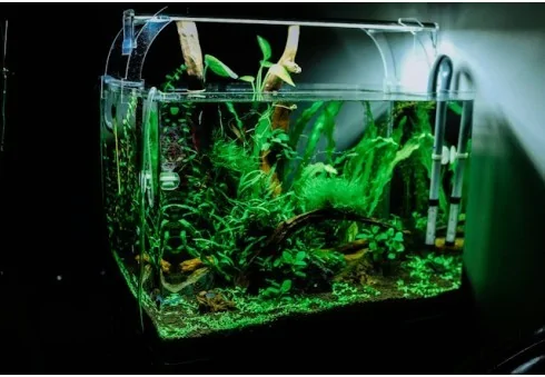 How to properly prepare water for an aquarium?